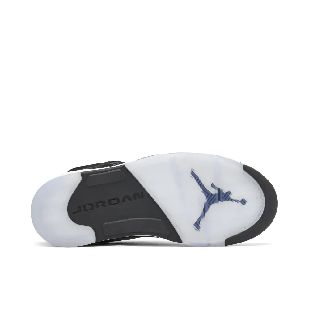 Air Jordan 5 Moonlight 