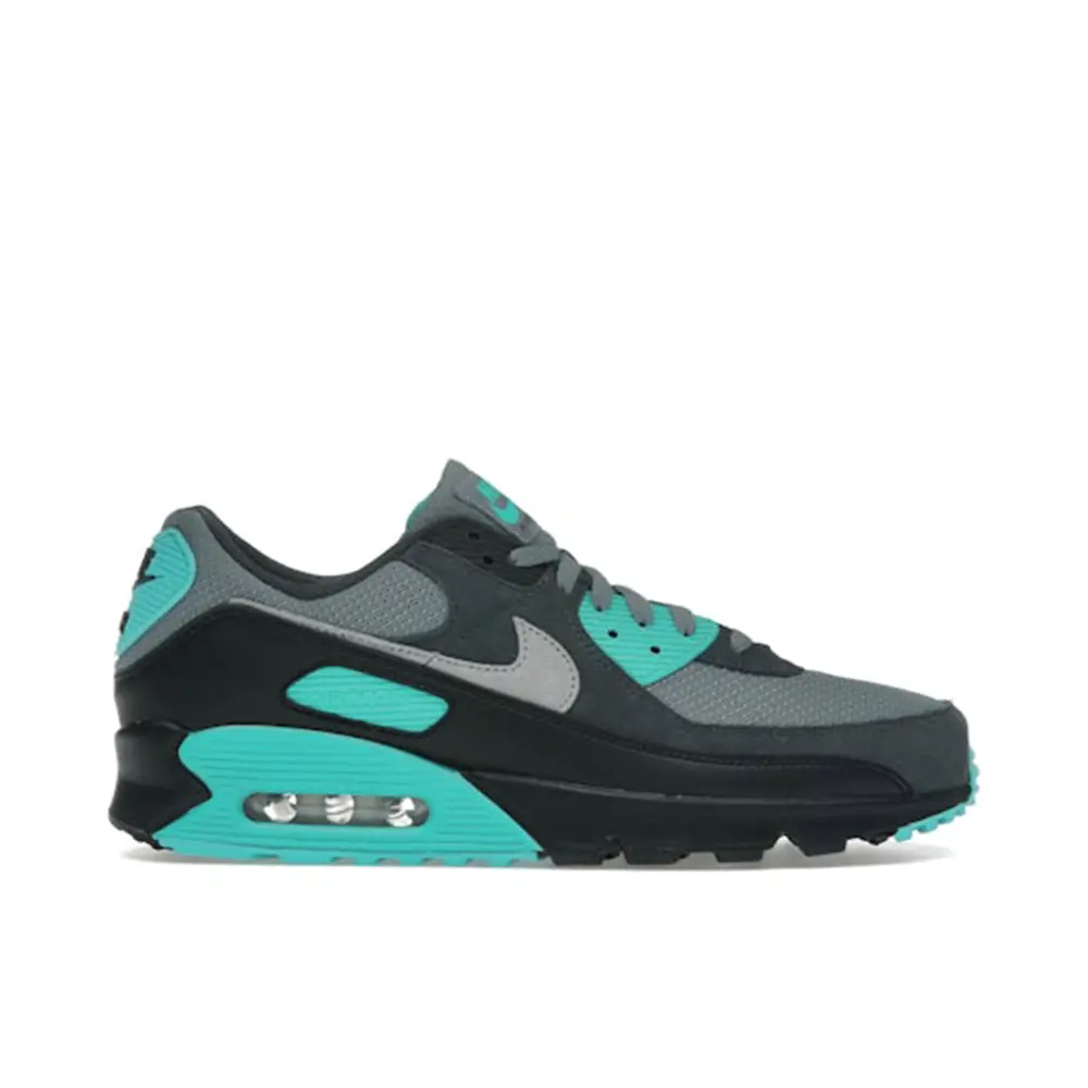Nike Air Max 90 Cool Grey Dusty Cactus Black Wolf Grey 