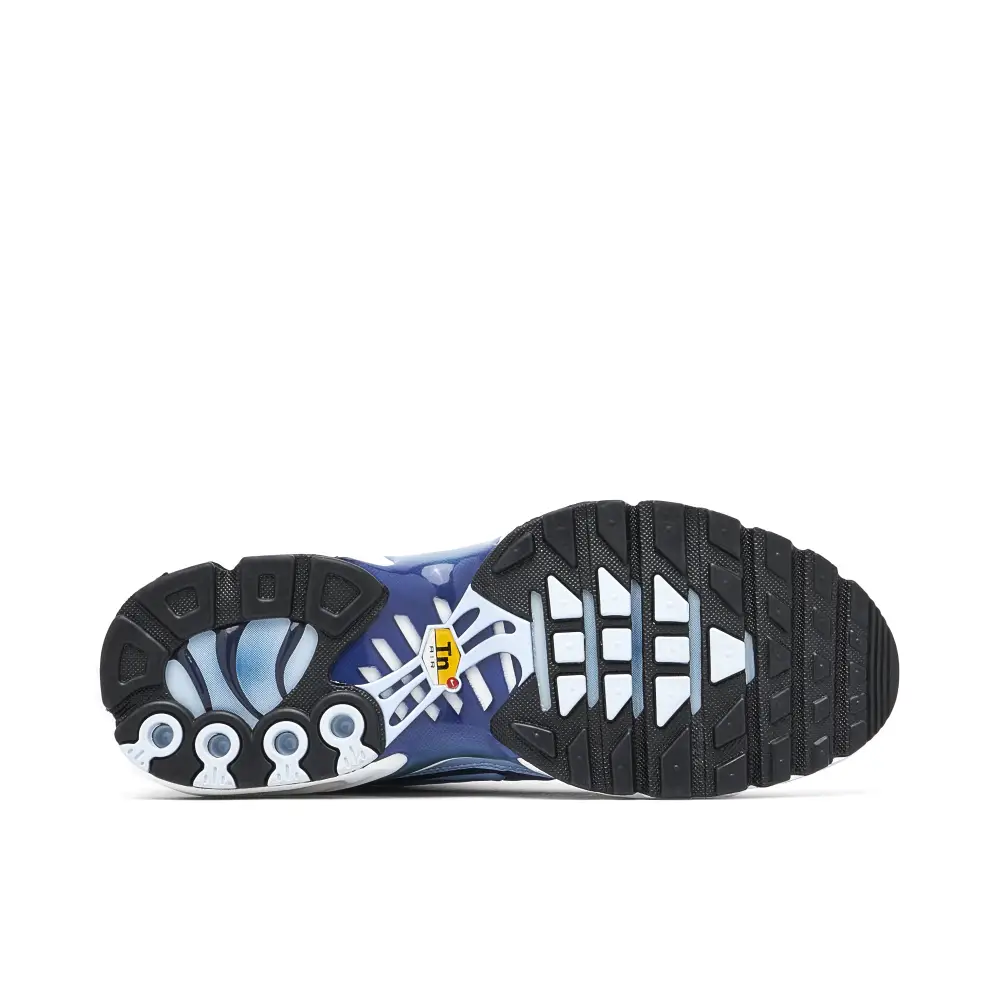 Nike Air Max Plus Celestine Blue Womens 