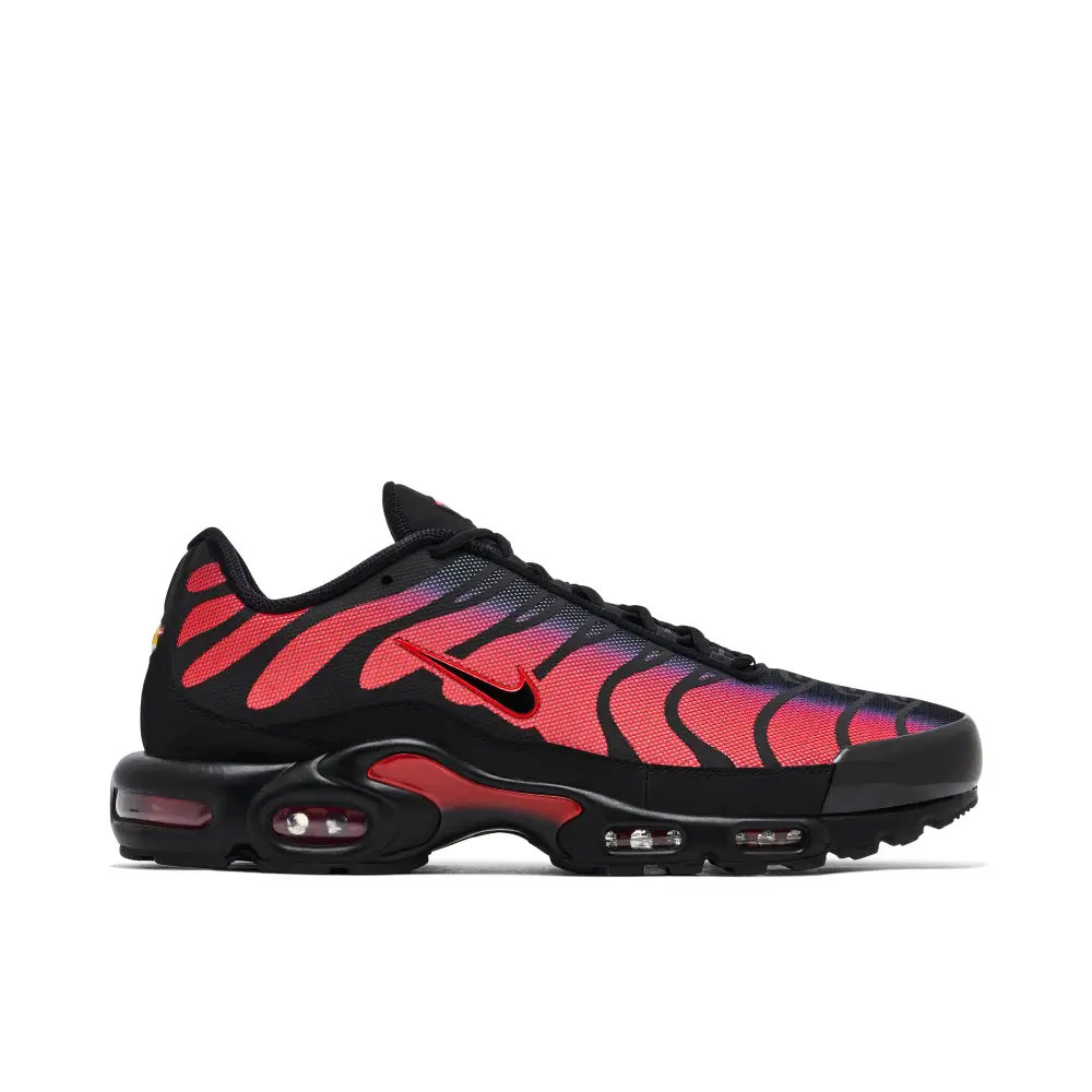 Nike Air Max Plus Bred Reflective 17C61951