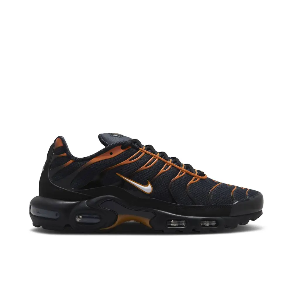 Nike Air Max Plus Dark Obsidian Monarch 