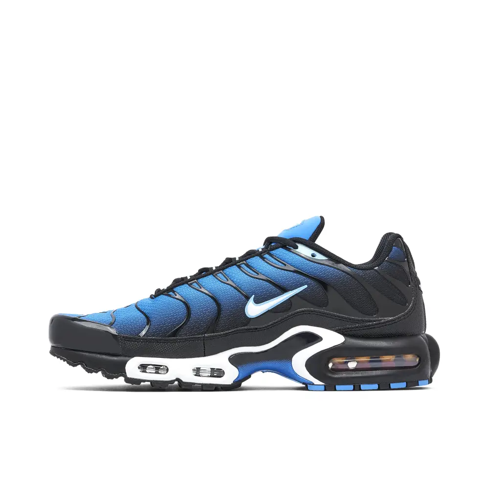Nike TN Air Max Plus Aquarius Blue CD2FE1890