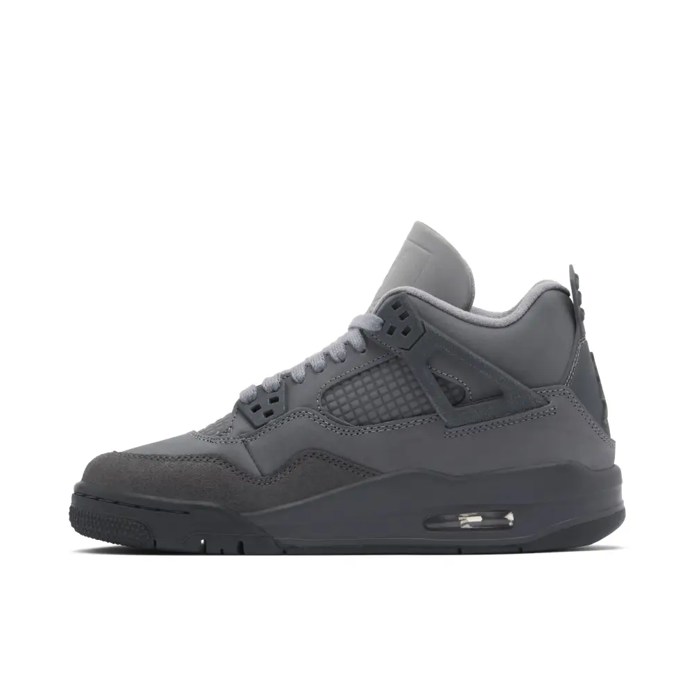 Air Jordan 4 Retro SE Paris Olympics Wet Cement GS B2EF2043