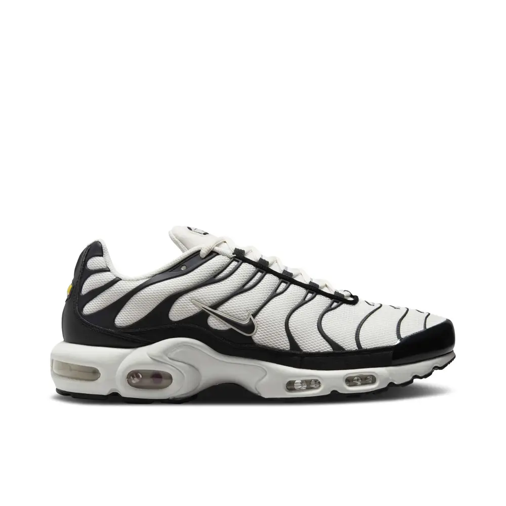 Nike Air Max Plus Panda 