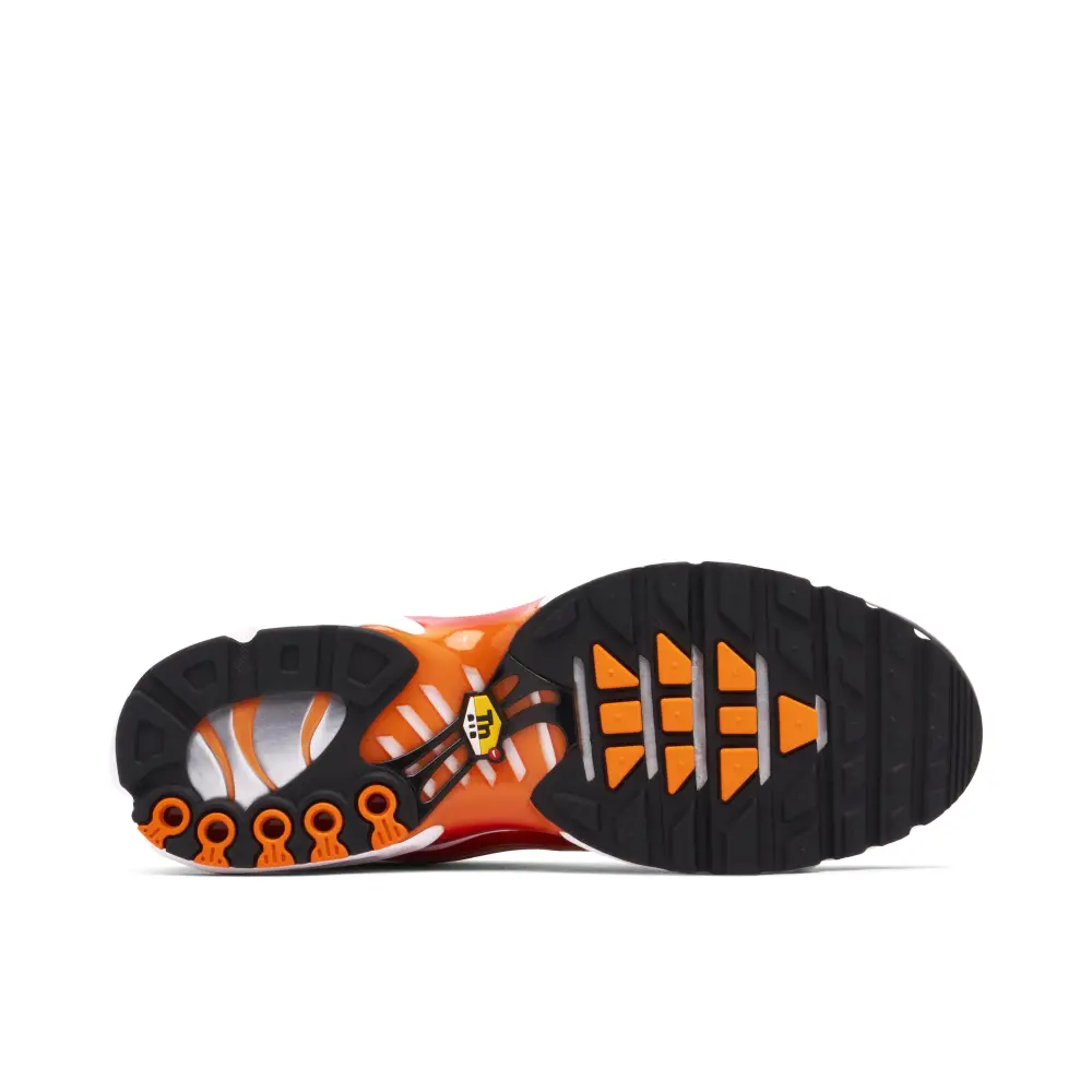 Nike TN Air Max Plus Light Photography