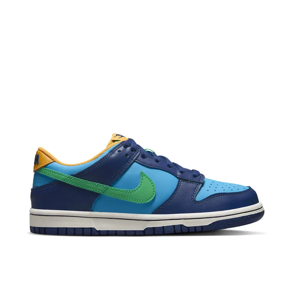 Nike Dunk Low Hoops Blue Multi GS C375980