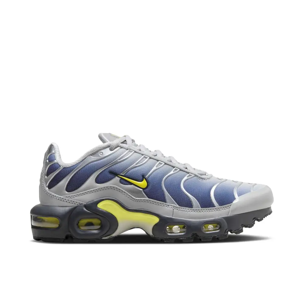 Nike Air Max Plus Obsidian Silver GS 965363