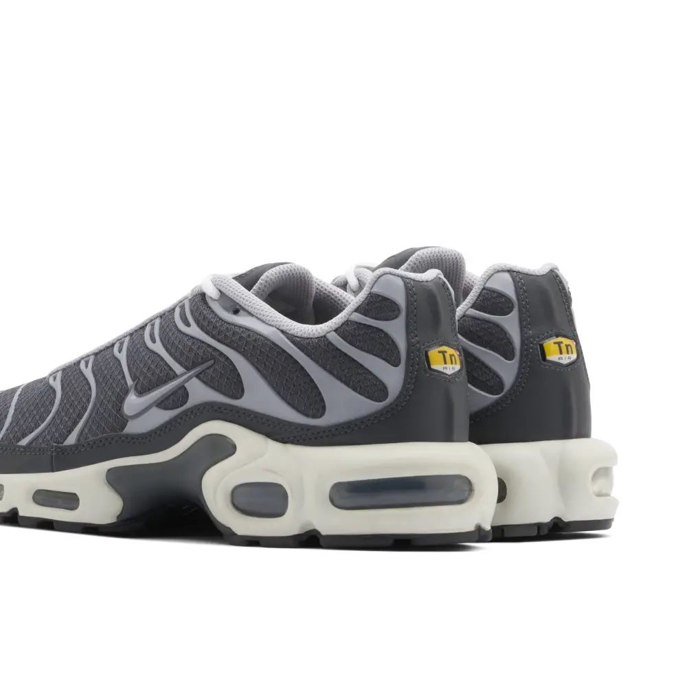 Nike TN Air Max Plus Cool Grey 