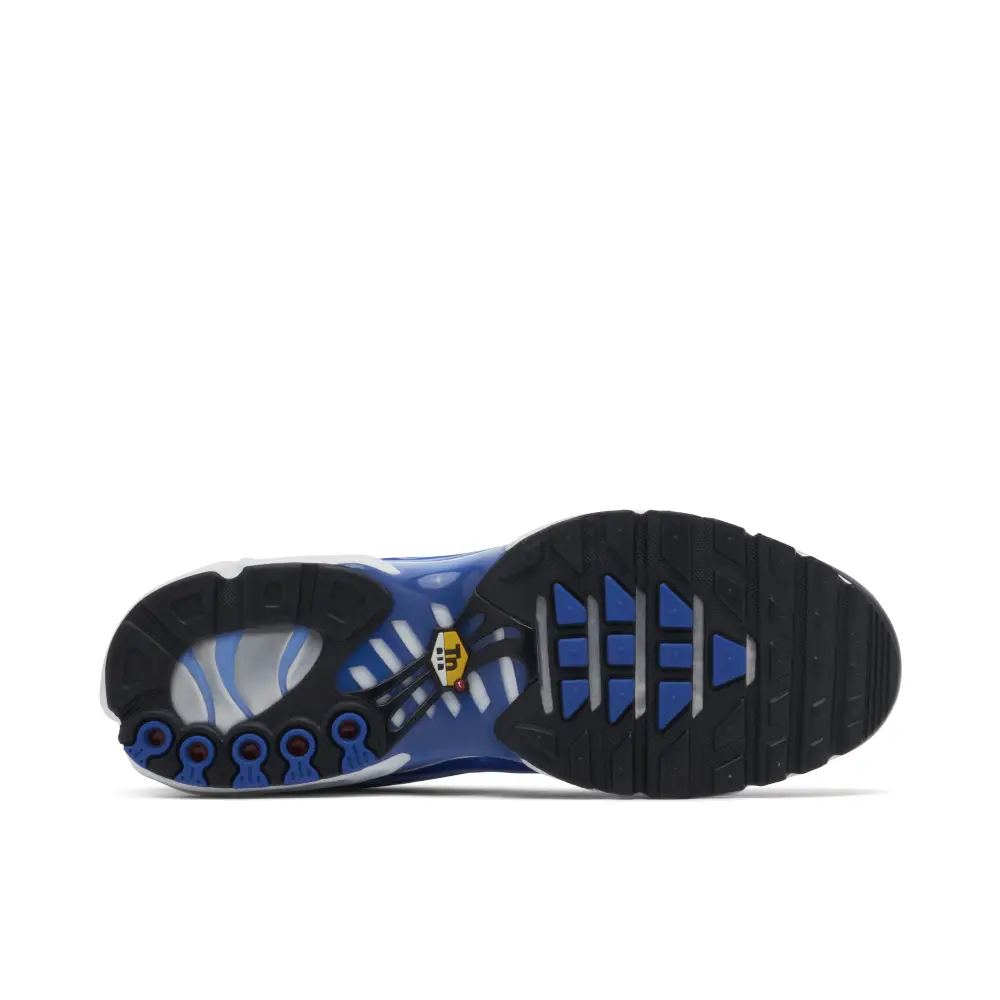 Nike TN Air Max Plus Light Photography Blue