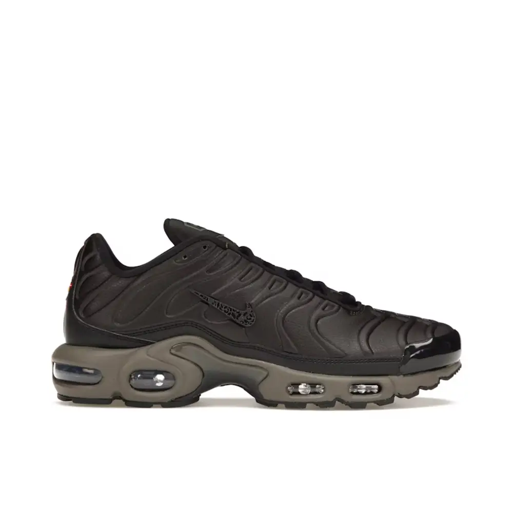 Nike Air Max Plus Premium Paris 