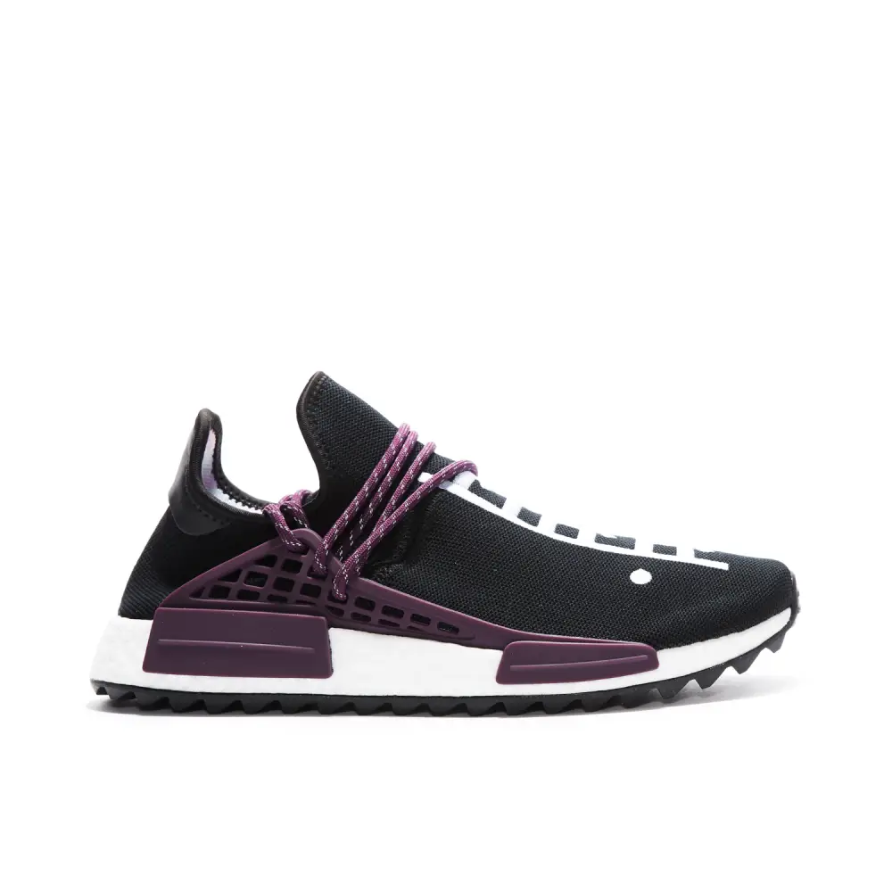 Pharrell x NMD TR Equality 