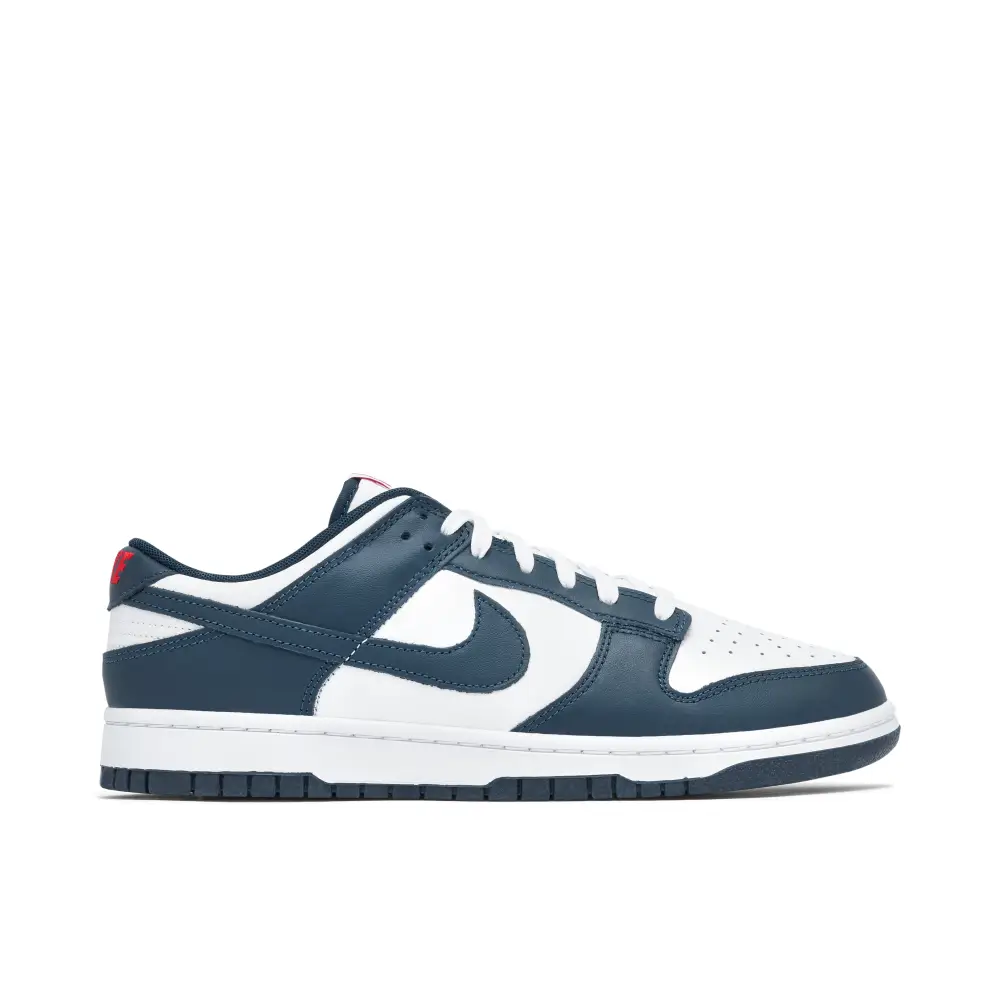 Nike Dunk Low Valerian Blue 5106115