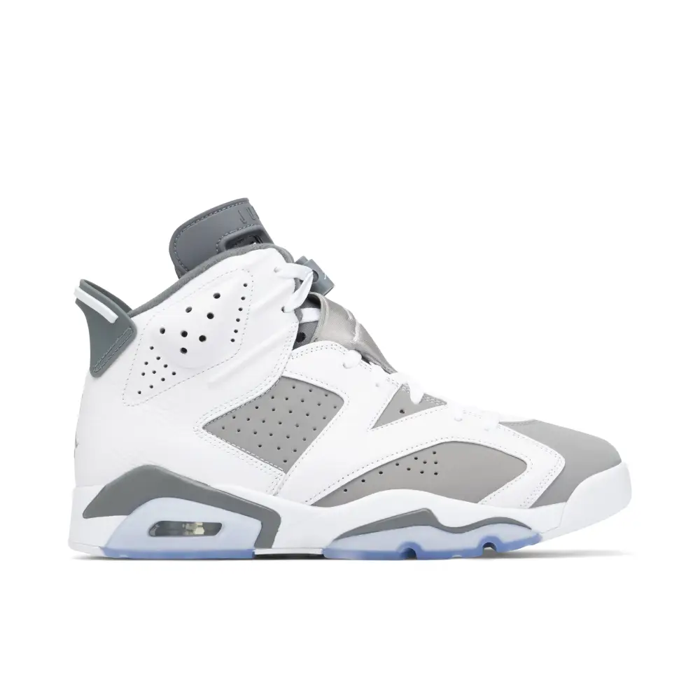 Air Jordan 6 Cool Grey 