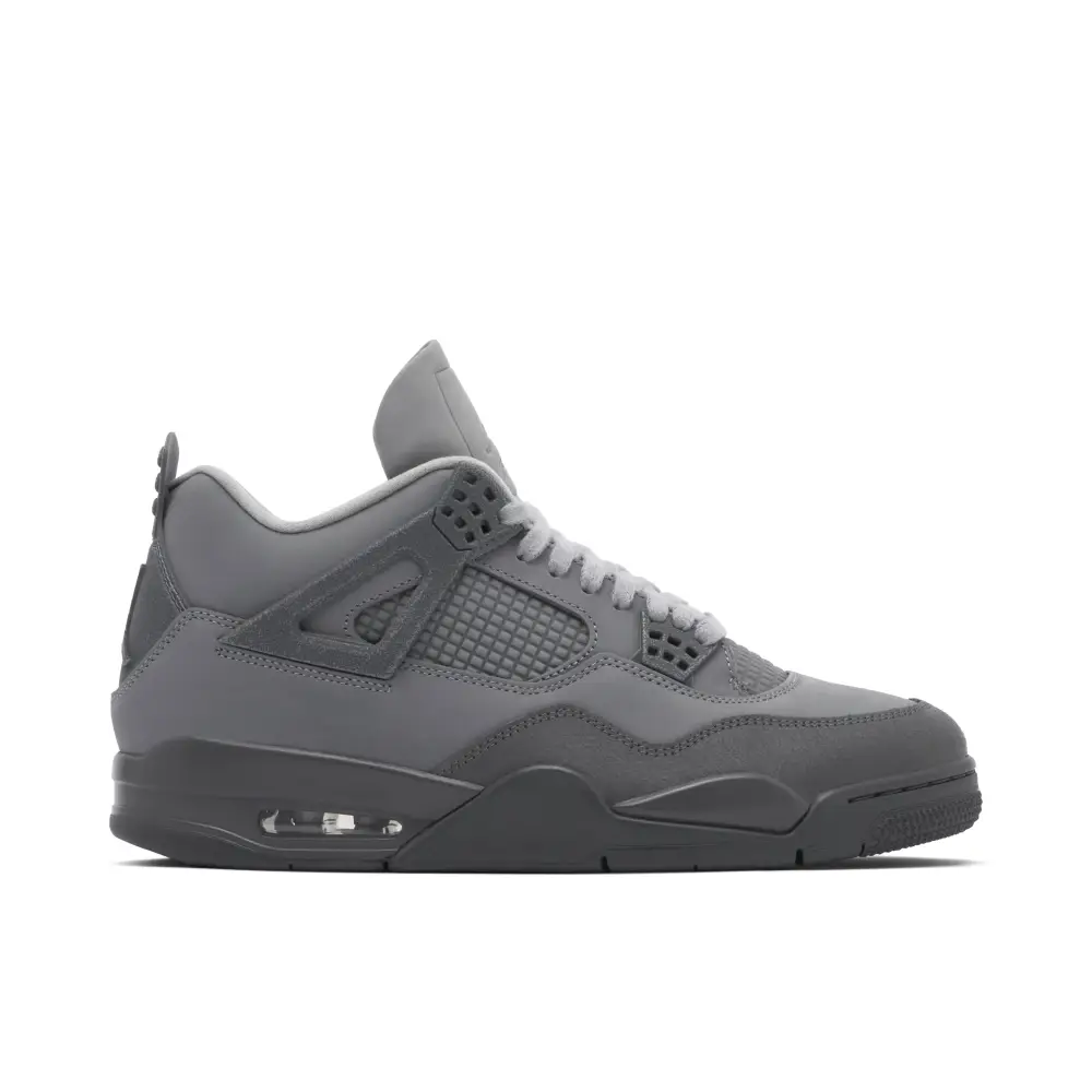Air Jordan 4 SE Wet Cement 