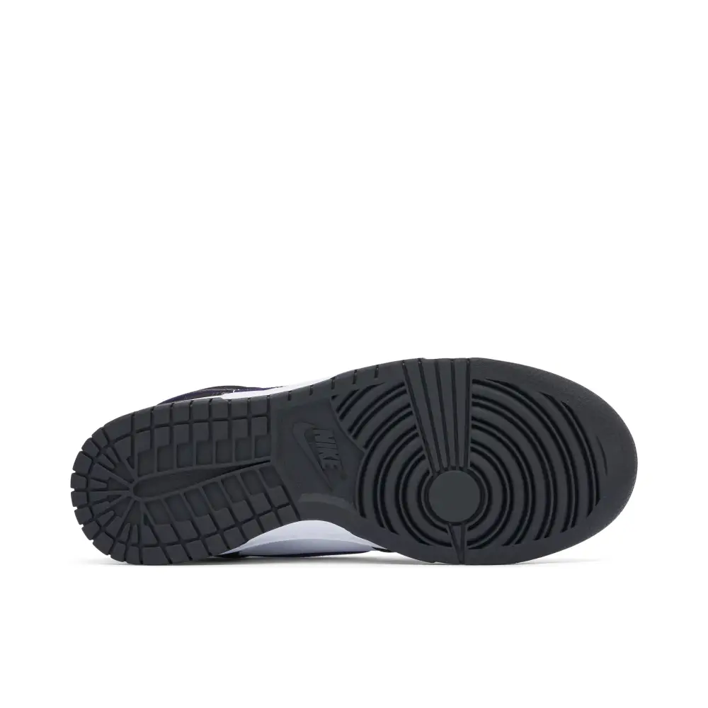 Nike Dunk High World Champ Womens