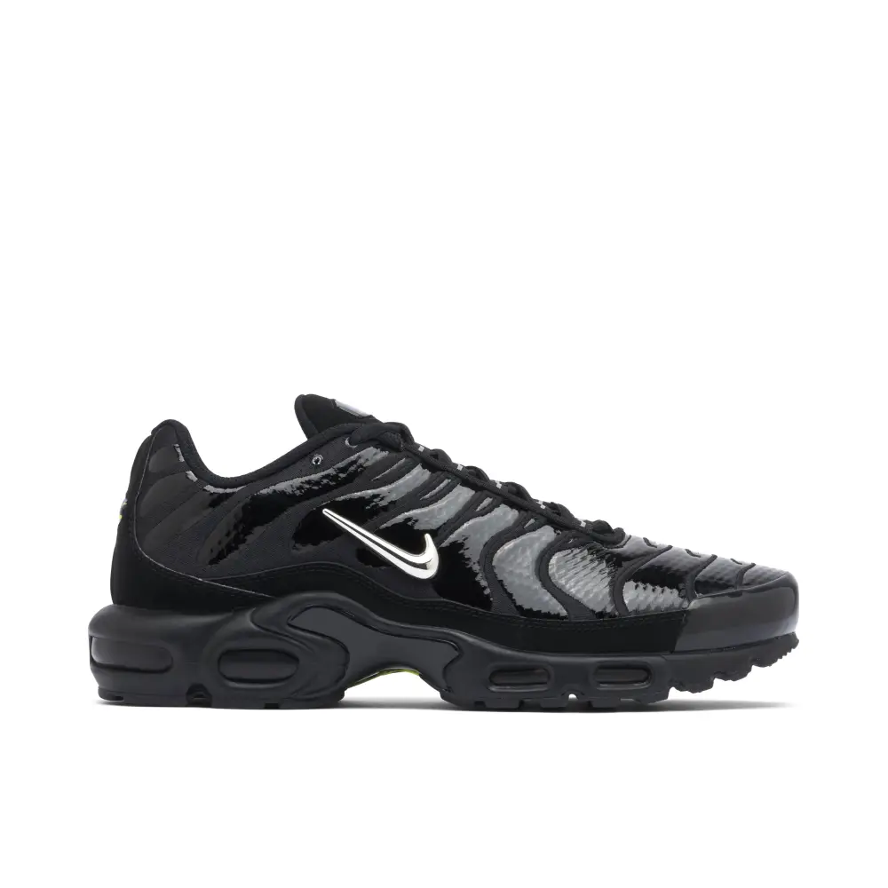 Nike TN Air Max Plus Black Chrome 