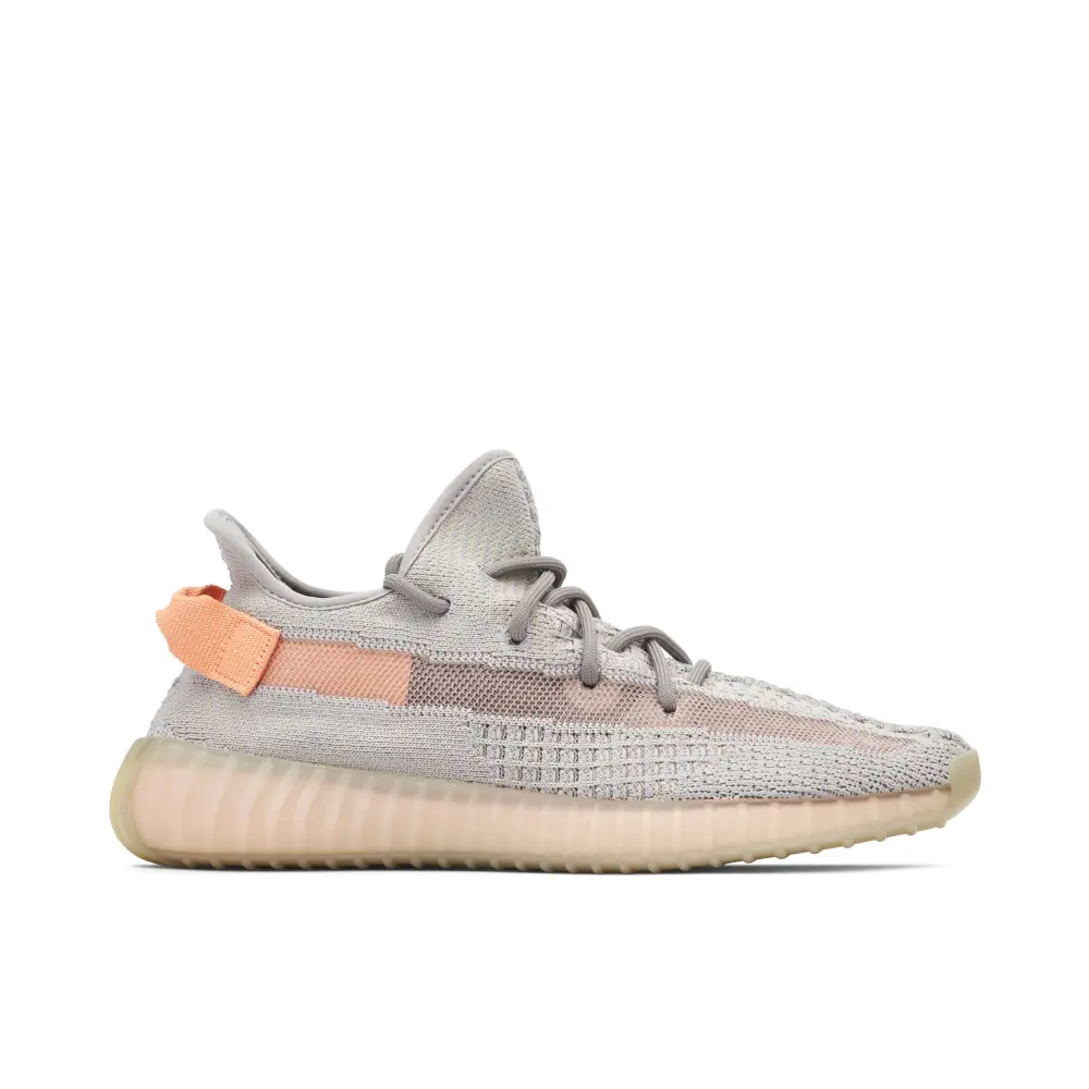 Yeezy Boost 350 V2 True Form 3AA3137