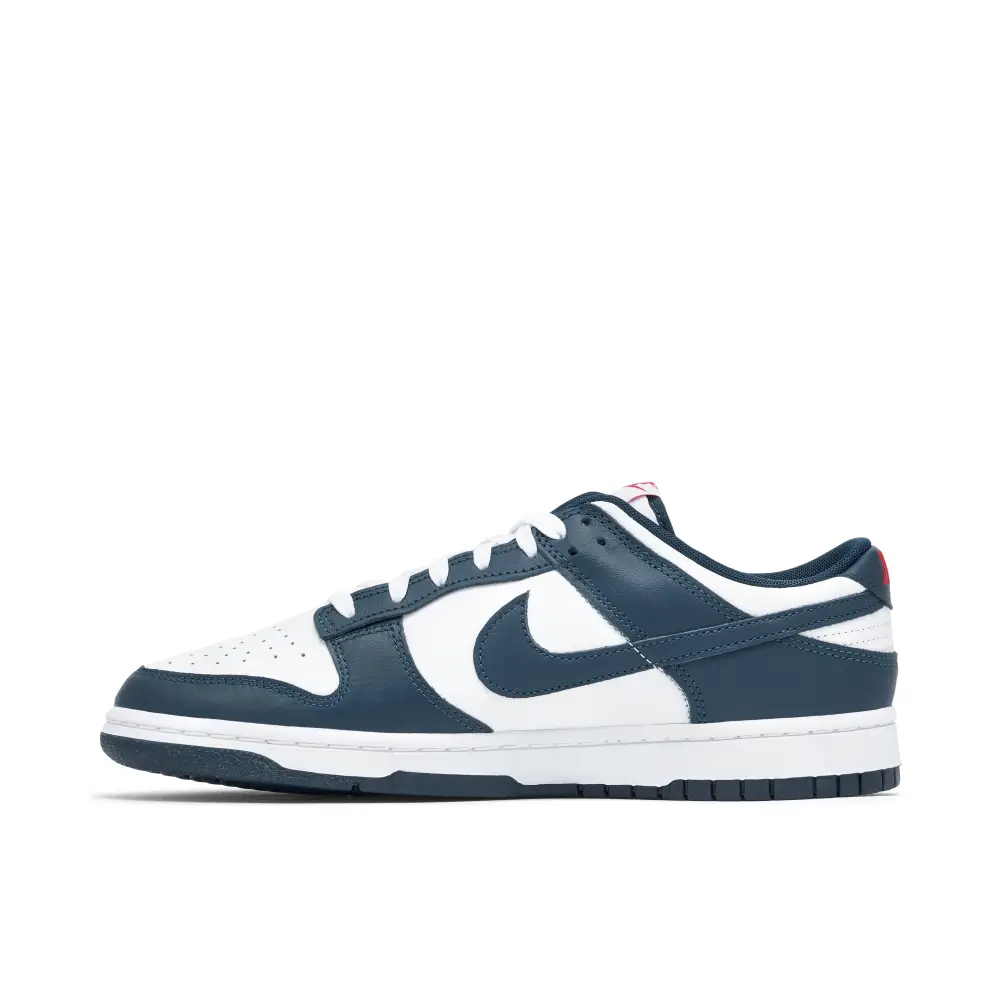 Nike Dunk Low Valerian Blue 5106115