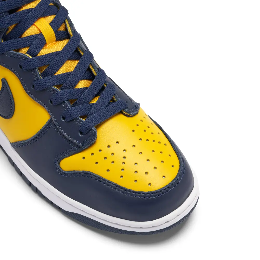 Nike Dunk High Michigan 