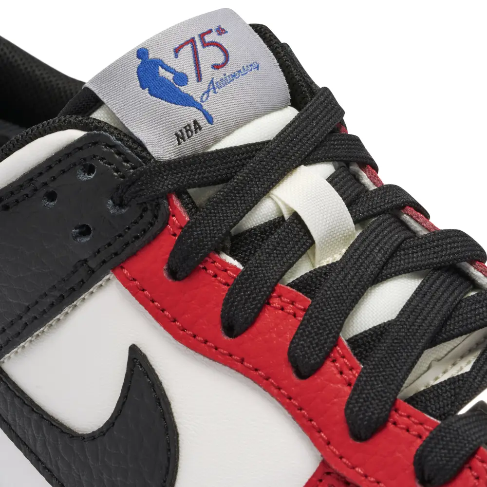 Nike Dunk Low x NBA EMB Chicago GS 