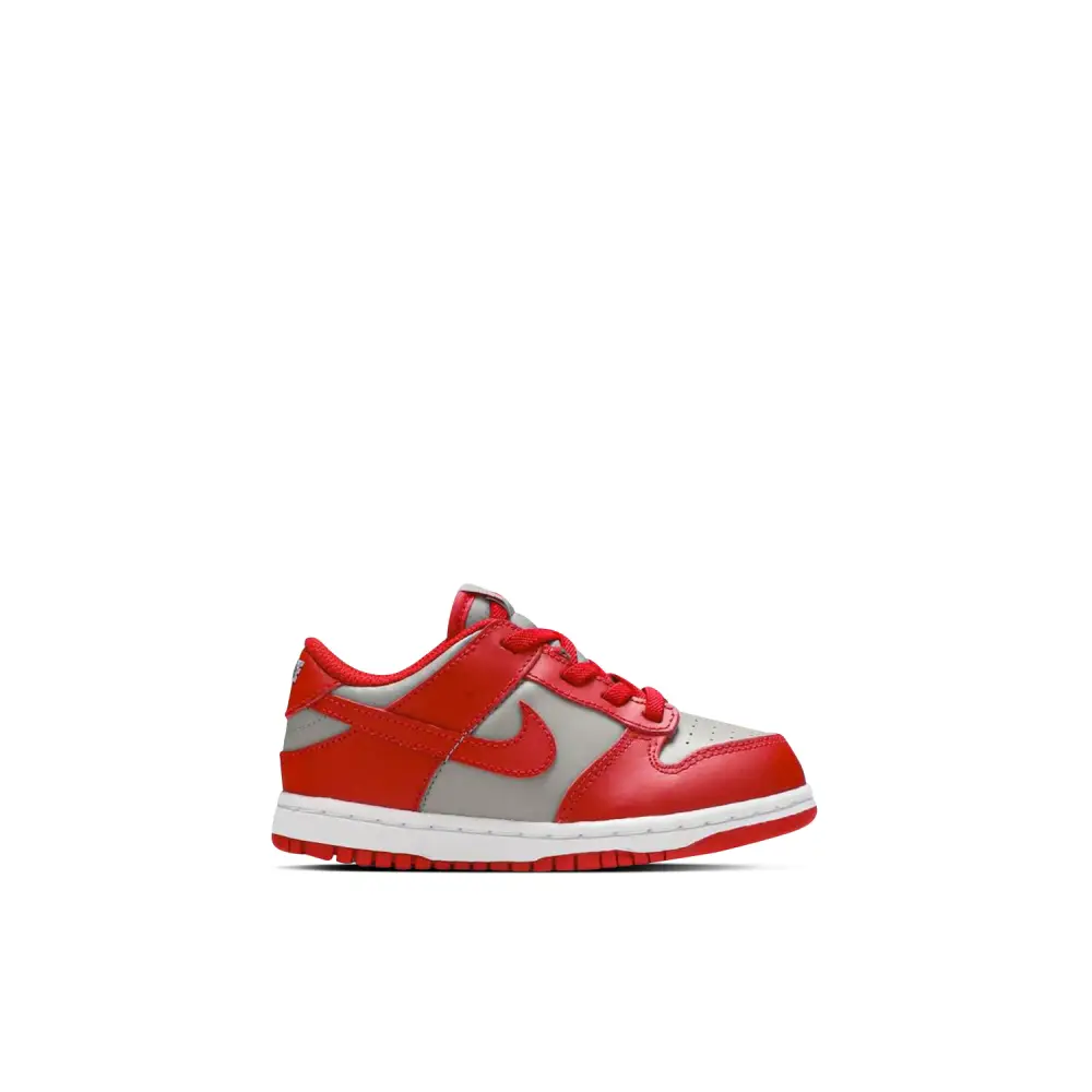 Nike Dunk Low UNLV TD B93B4837