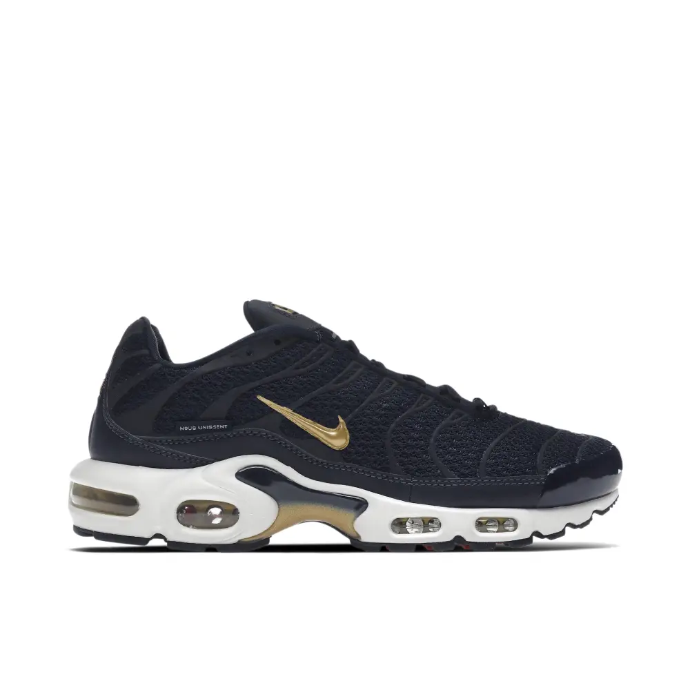 Nike TN Air Max Plus FFF French Football Federation 