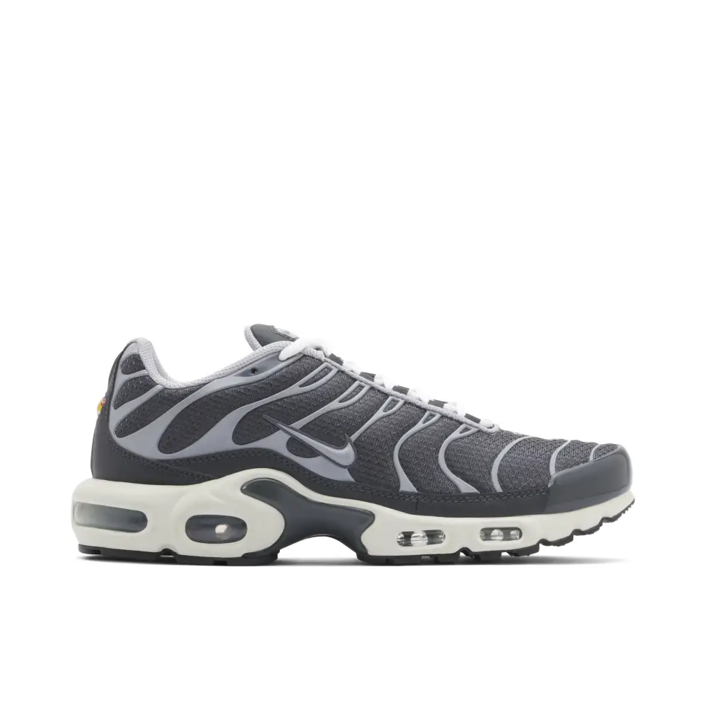 Nike TN Air Max Plus Cool Grey 1F94418