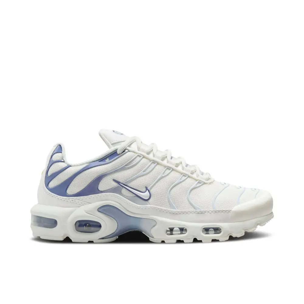Nike Air Max Plus Ashen Slate Womens 