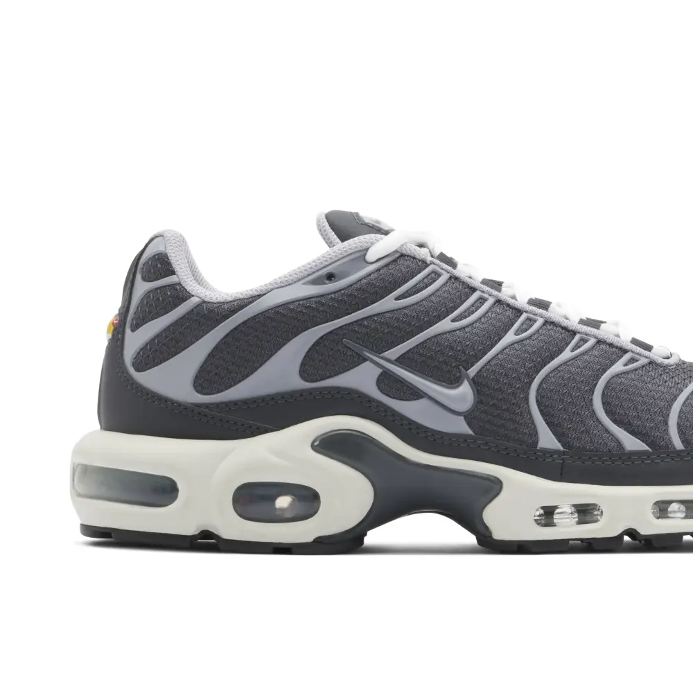 Nike TN Air Max Plus Cool Grey