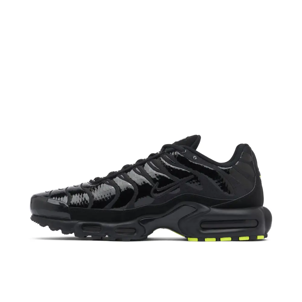 Nike TN Air Max Plus Black Chrome 88A2588