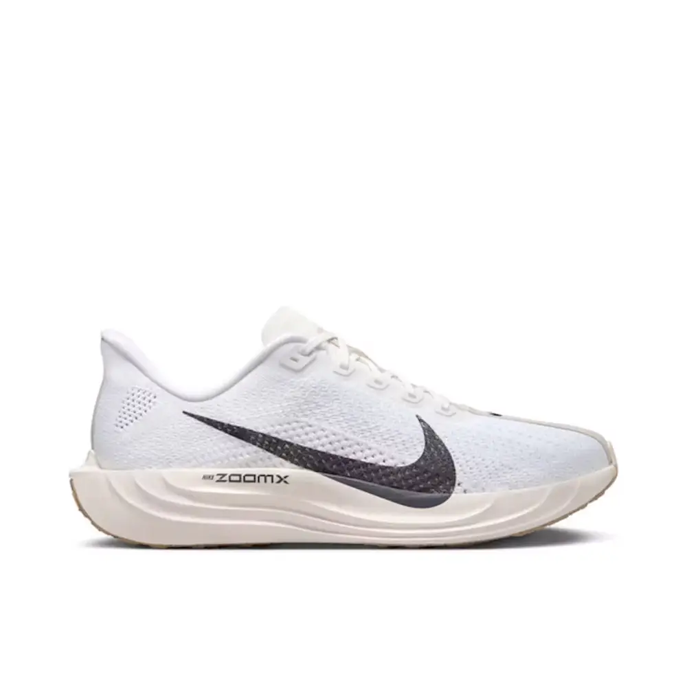 Nike Pegasus Plus Sail Orewood Anthracite 