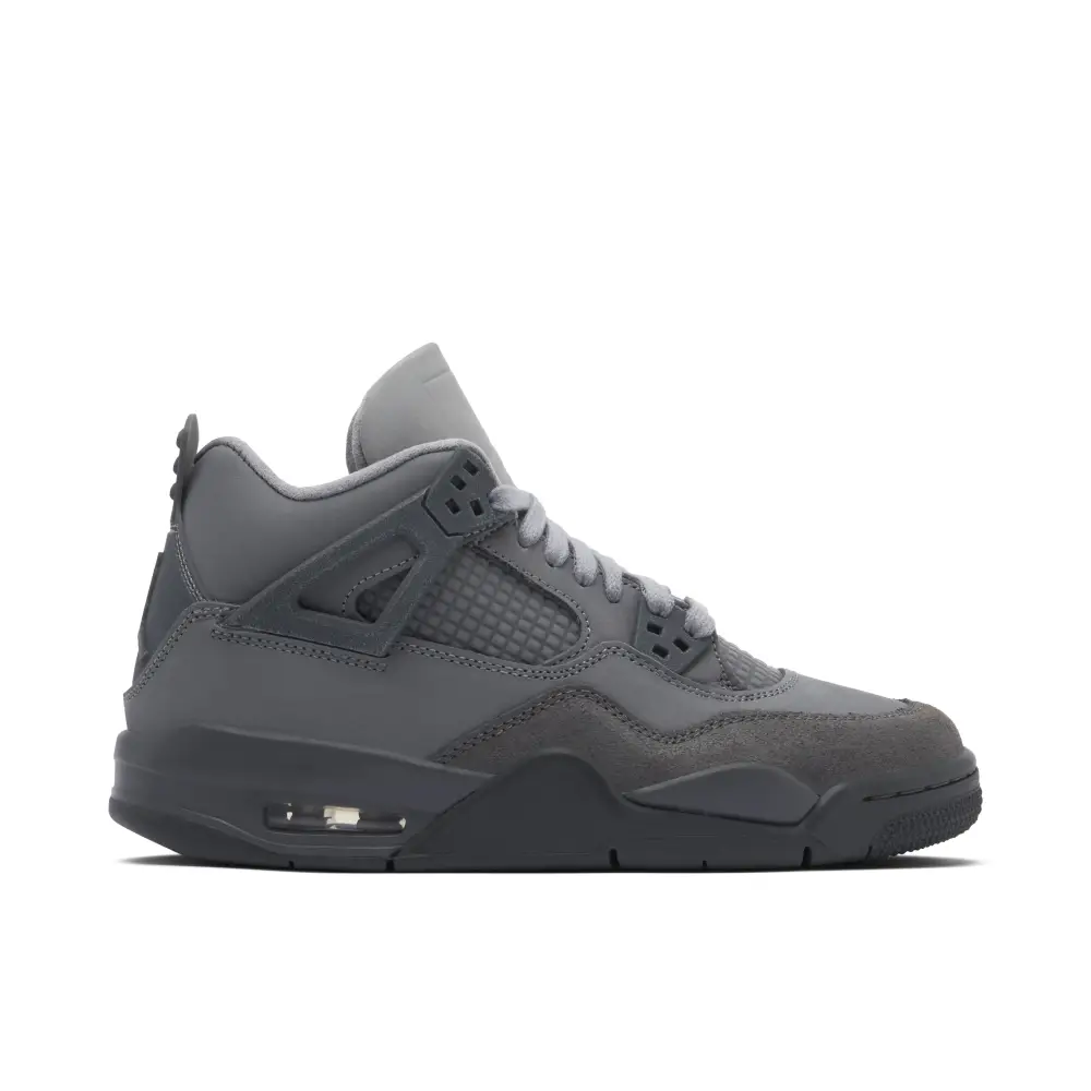 Air Jordan 4 Retro SE Paris Olympics Wet Cement GS 