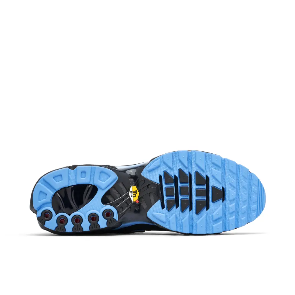 Nike Air Max Plus Black University Blue 