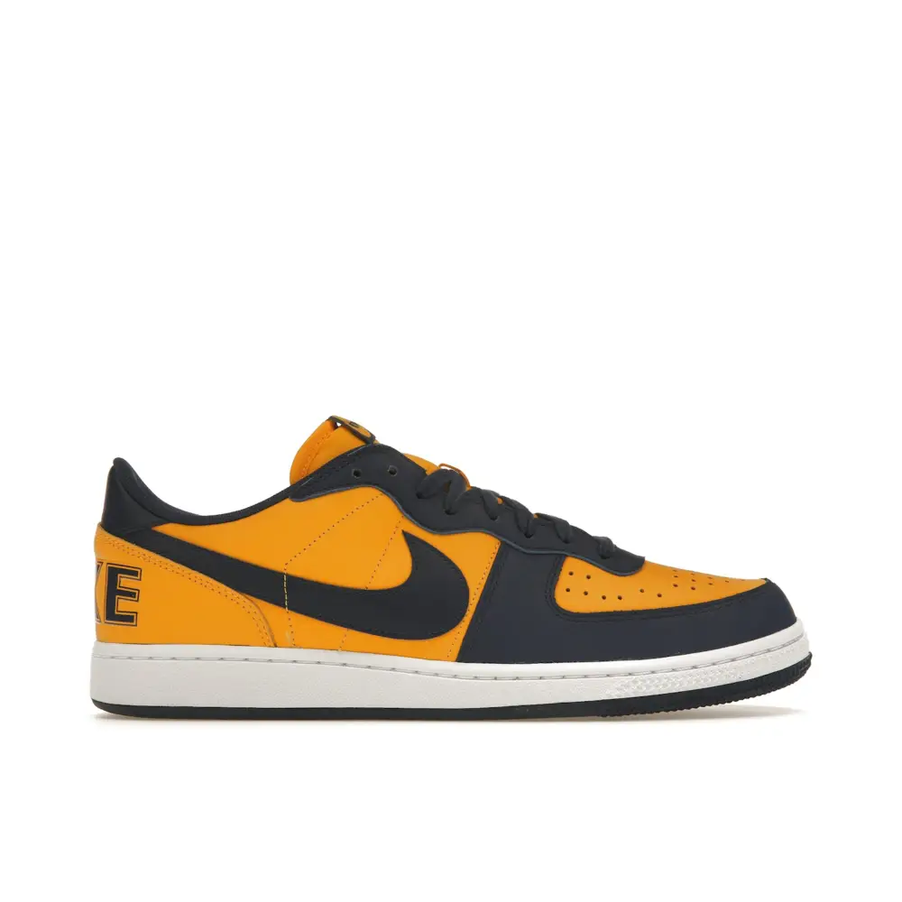 Nike Terminator Low Michigan 