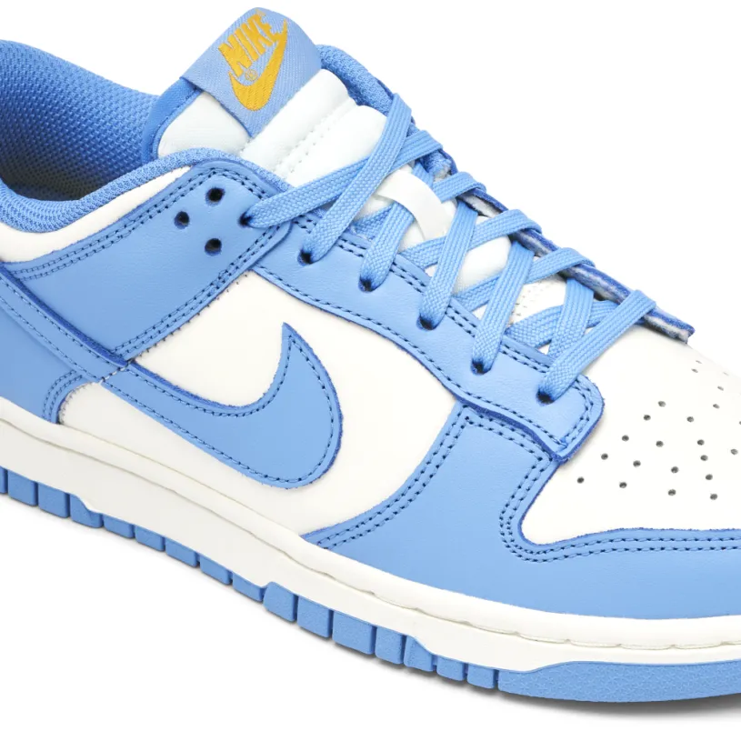 Nike Dunk Low Coast Womens 
