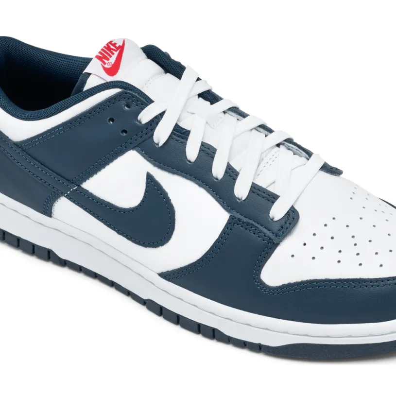 Nike Dunk Low Valerian Blue 