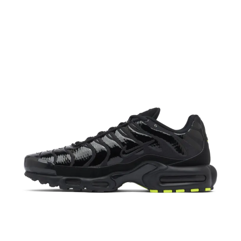 Nike TN Air Max Plus Black Chrome